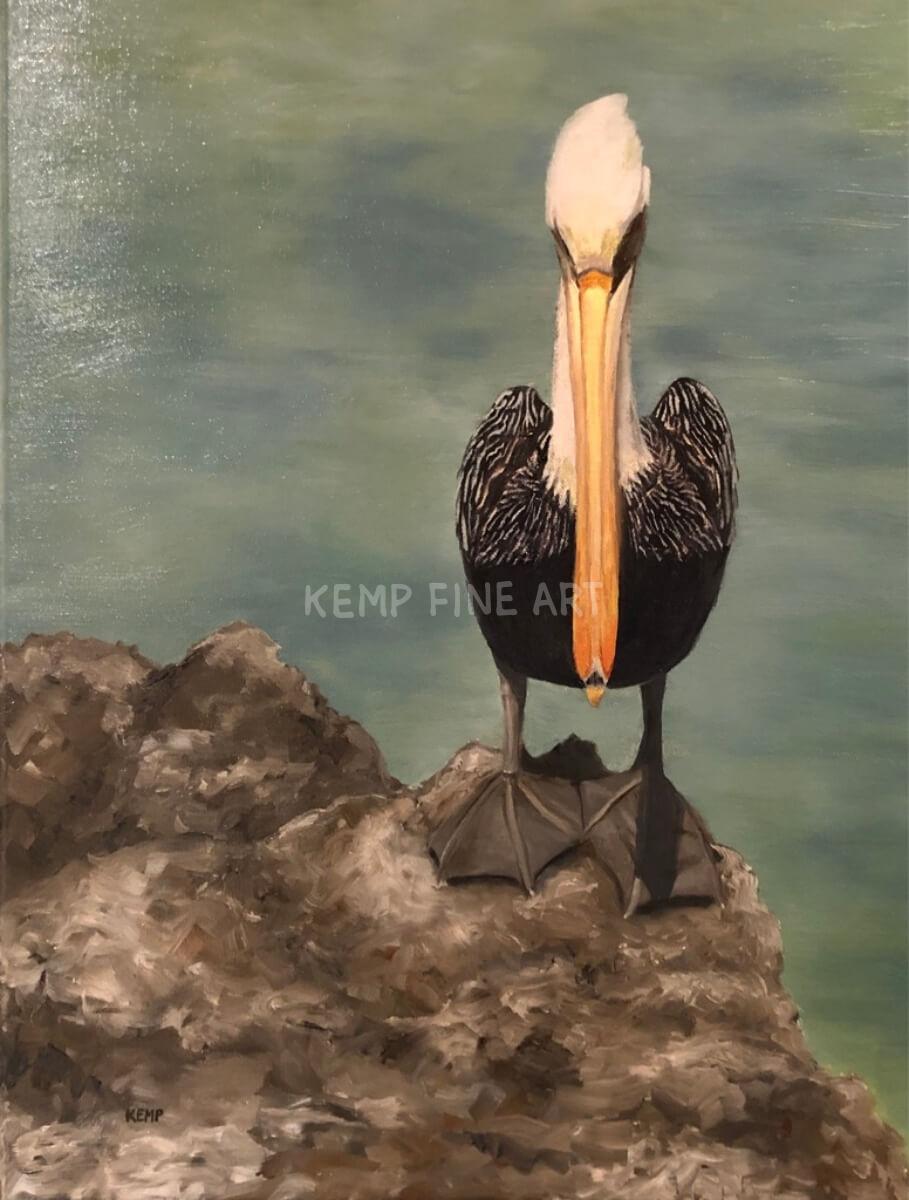Pellie the Pelican | Oil on Canvas - by Jim Kemp